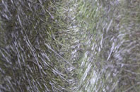 Shepton Beauchamp fibreglass roof work